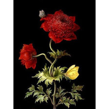 Схема вышивки «цветы»