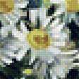Предпросмотр схемы вышивки «Букет ромашек» (№2038254)