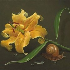 Схема вышивки «Натюрморт с лилией»