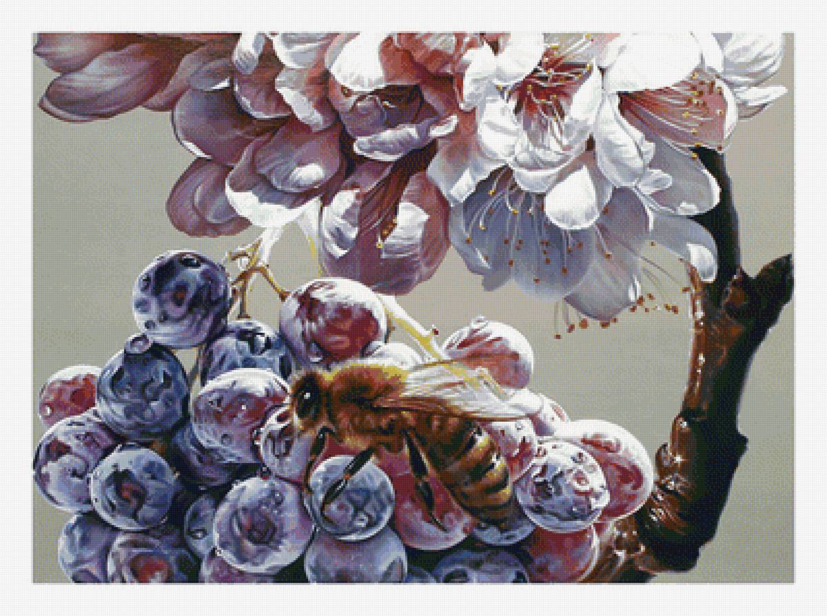 Цветочно-ягодная2. - живопись, цветы, ягоды, виноград, пчела - предпросмотр