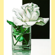 Схема вышивки «Серия "Розы".»