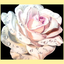 Схема вышивки «Серия "Розы".»