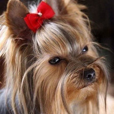 Схема вышивки «Грустно»