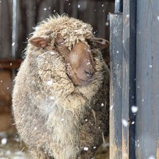 Схема вышивки «№2038474»