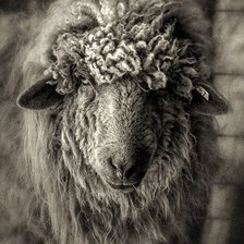 Схема вышивки «№2038478»