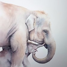 Художник Ramona Frederickson