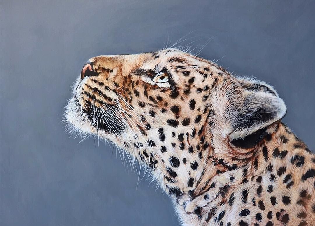 Художник Emily-mei Cross - хищники, животные, художники - оригинал