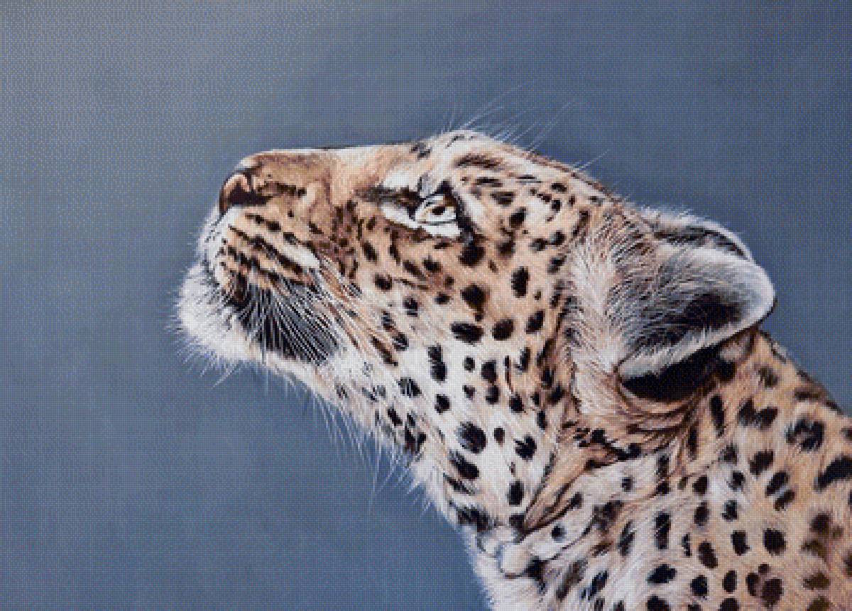 Художник Emily-mei Cross - художники, хищники, животные - предпросмотр