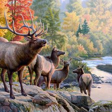 Схема вышивки «№2038698»