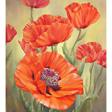 Схема вышивки «Красные маки.»