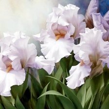 Схема вышивки «Белые ирисы»