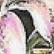 Предпросмотр схемы вышивки «лилии» (№2038918)