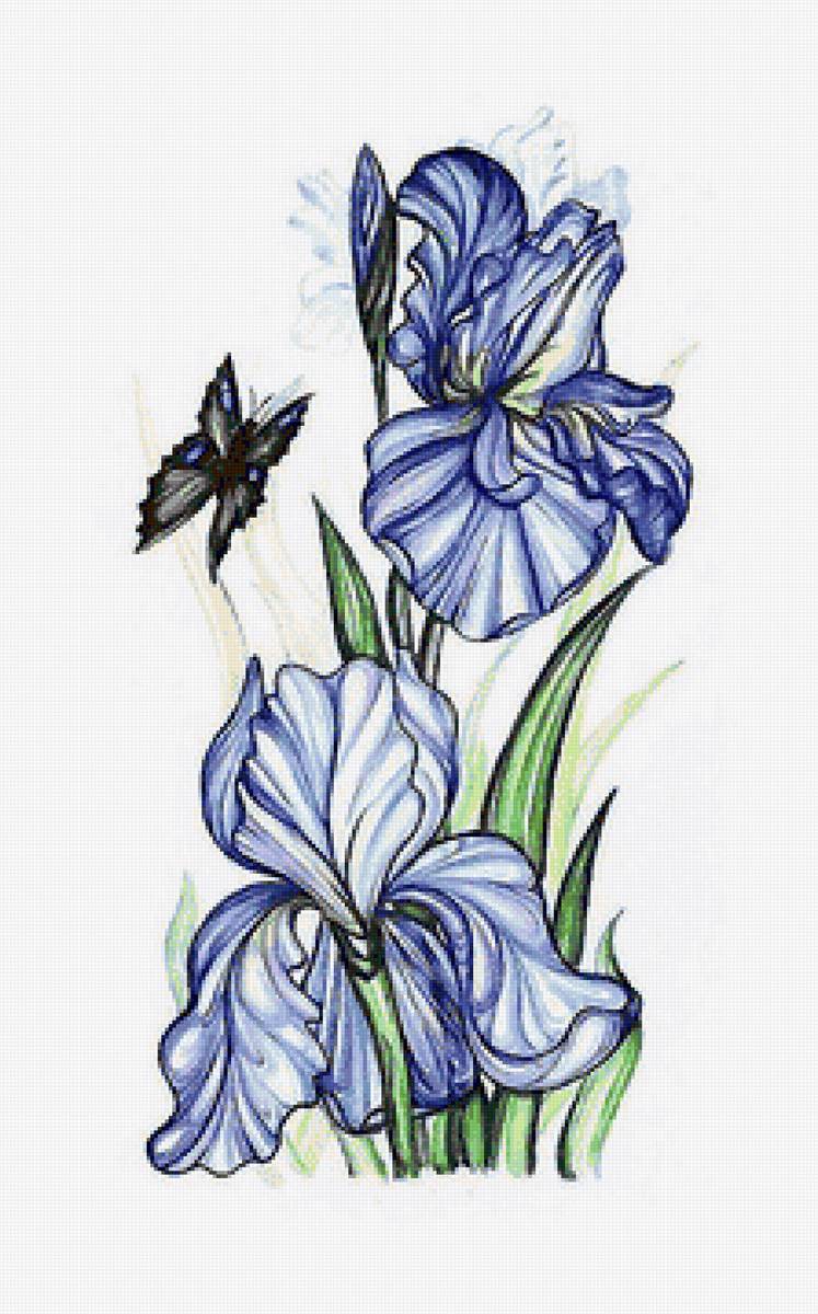 рисунок - предпросмотр