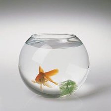 Схема вышивки «аквариум»