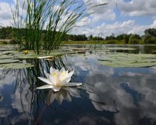 Облака купаются