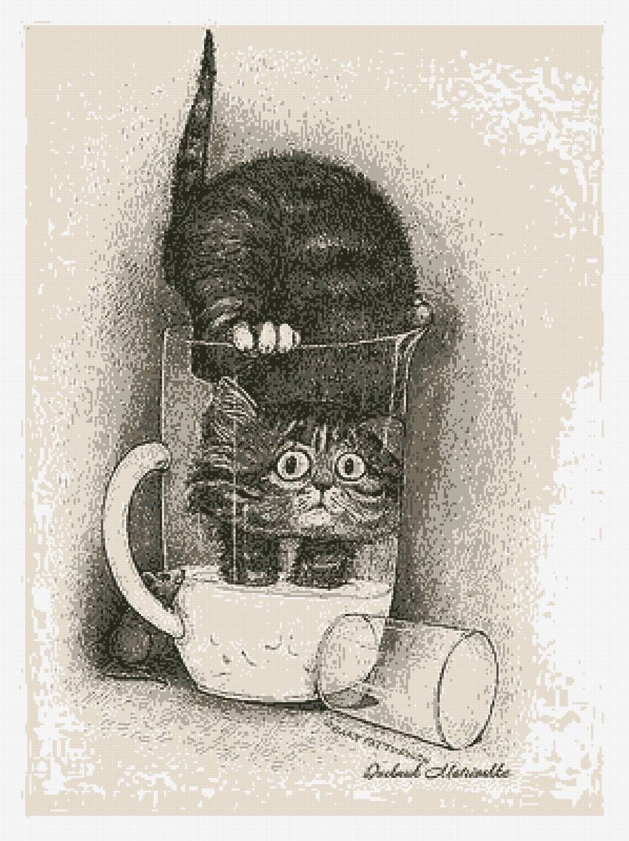 Gato - предпросмотр