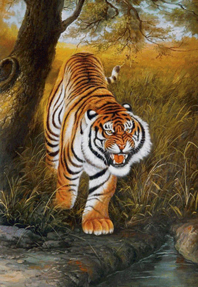 Тигр - животные, звери - предпросмотр