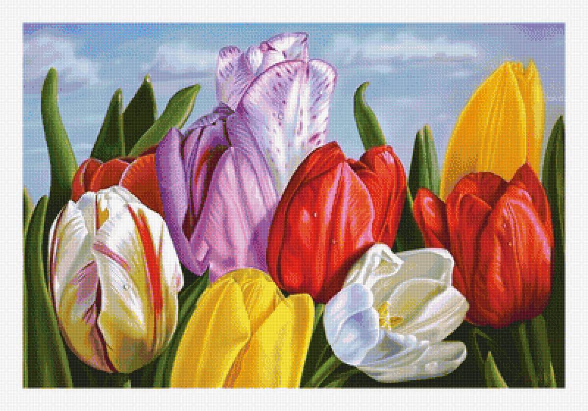 Тюльпаны. - букет, цветы, живопись, тюльпаны - предпросмотр