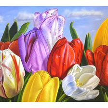 Схема вышивки «Тюльпаны.»