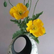 Желтые маки