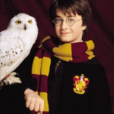 Схема вышивки «Гарри и букля»