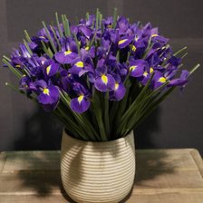 Схема вышивки «Ирисы»