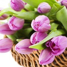 Схема вышивки «цветы в корзине»