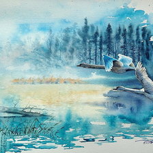 Пара лебедей