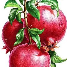 Схема вышивки «№2040079»