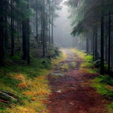 Схема вышивки «лес»