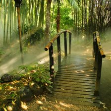 Схема вышивки «мост в лесу»