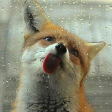 Схема вышивки «лисенок»