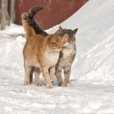 Схема вышивки «Свидание»