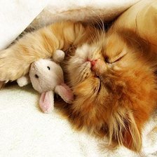 Схема вышивки «Сладкий сон»