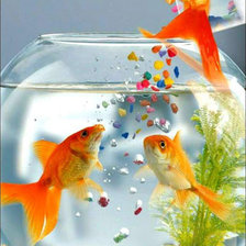 Схема вышивки «Золотые рыбки в аквариуме»