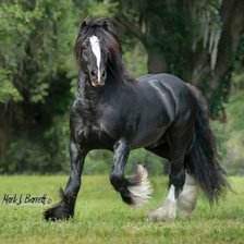 Схема вышивки «Тяжеловоз конь летом»