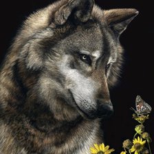 Схема вышивки «Волк и мотылек»