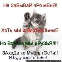 Схема вышивки «Не забывай про меня! Котята ищут дом.»