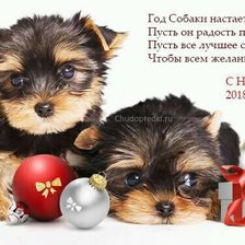 Схема вышивки «Новый год и йоркширский терьер.»