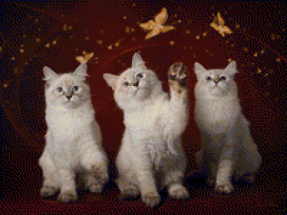 Тайские котята трио - фото, тайская, домашние животные, картина, кошки - предпросмотр