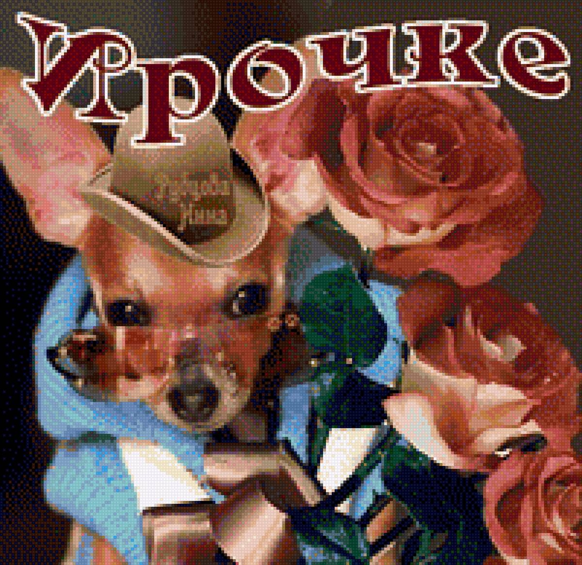 Ирочке. Поздравление. - поздравление, картинка, цветы, открытка, фотография, собачка - предпросмотр