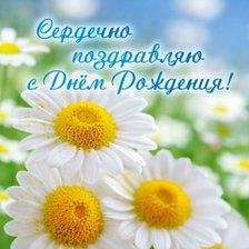 Схема вышивки «Ромашки. Поздравляем!»