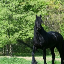 Схема вышивки «Черный конь»