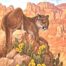 Схема вышивки «№2040917»