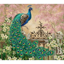 Схема вышивки «Павлин»