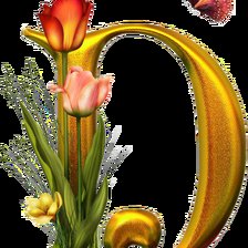 Алфавит с цветами