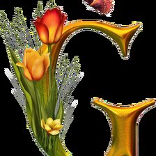 Алфавит с цветами