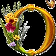 Алфавит с цветами