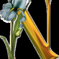 Схема вышивки «Алфавит с цветами»