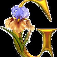 Схема вышивки «Алфавит с цветами»